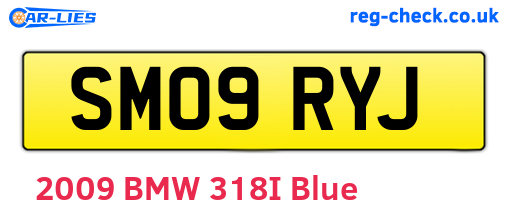 SM09RYJ are the vehicle registration plates.