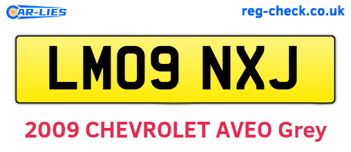 LM09NXJ are the vehicle registration plates.