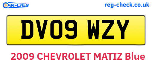 DV09WZY are the vehicle registration plates.