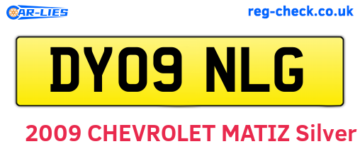 DY09NLG are the vehicle registration plates.