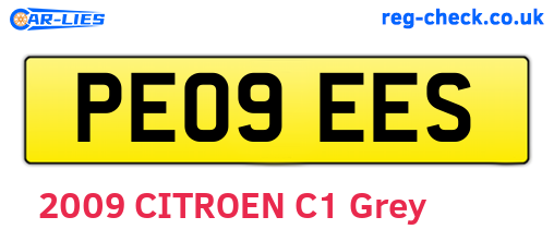 PE09EES are the vehicle registration plates.