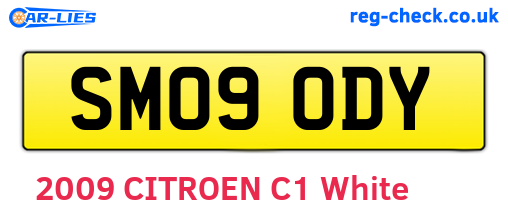 SM09ODY are the vehicle registration plates.