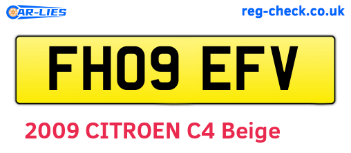 FH09EFV are the vehicle registration plates.