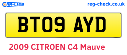 BT09AYD are the vehicle registration plates.