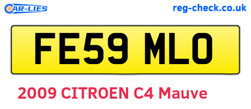FE59MLO are the vehicle registration plates.