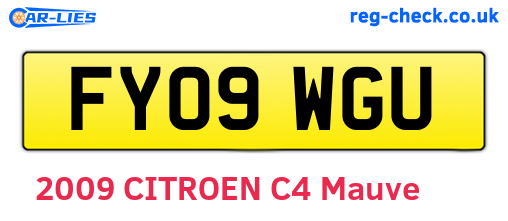 FY09WGU are the vehicle registration plates.