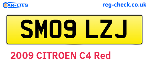 SM09LZJ are the vehicle registration plates.