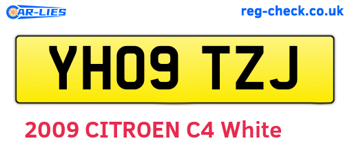 YH09TZJ are the vehicle registration plates.