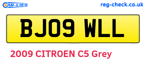 BJ09WLL are the vehicle registration plates.