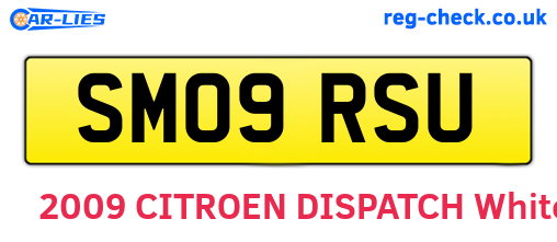 SM09RSU are the vehicle registration plates.