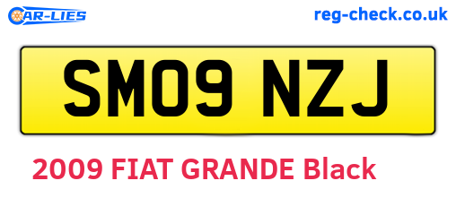 SM09NZJ are the vehicle registration plates.