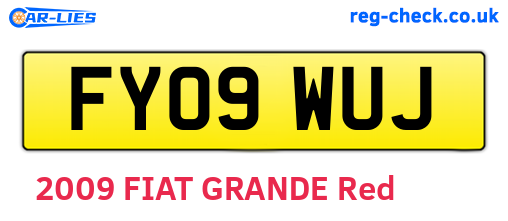 FY09WUJ are the vehicle registration plates.