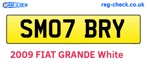 SM07BRY are the vehicle registration plates.