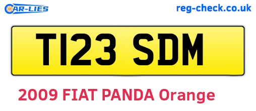 T123SDM are the vehicle registration plates.