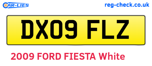 DX09FLZ are the vehicle registration plates.