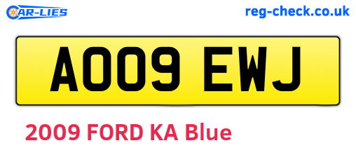 AO09EWJ are the vehicle registration plates.