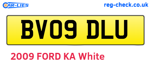 BV09DLU are the vehicle registration plates.