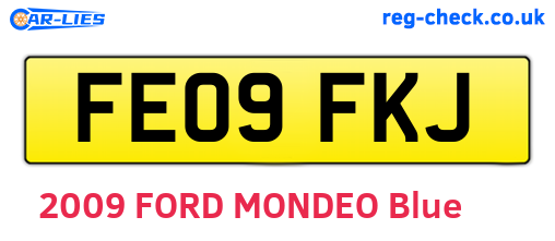 FE09FKJ are the vehicle registration plates.