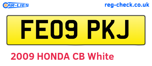 FE09PKJ are the vehicle registration plates.