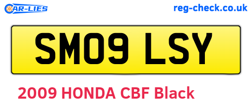 SM09LSY are the vehicle registration plates.
