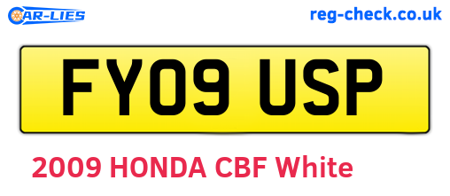 FY09USP are the vehicle registration plates.
