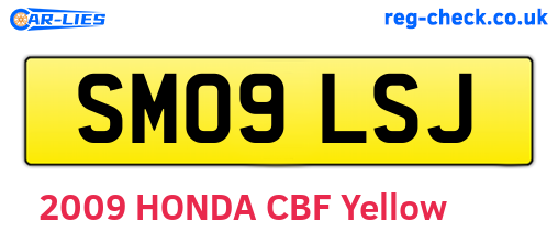 SM09LSJ are the vehicle registration plates.