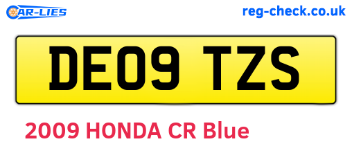 DE09TZS are the vehicle registration plates.