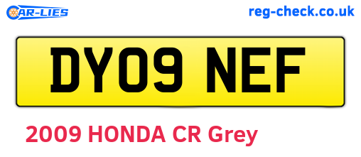 DY09NEF are the vehicle registration plates.