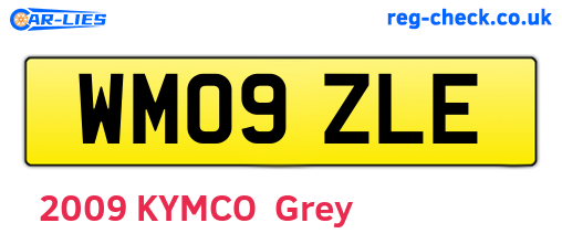 WM09ZLE are the vehicle registration plates.