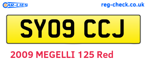 SY09CCJ are the vehicle registration plates.