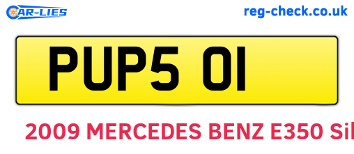 PUP501 are the vehicle registration plates.