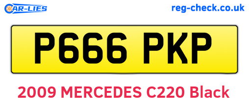 P666PKP are the vehicle registration plates.