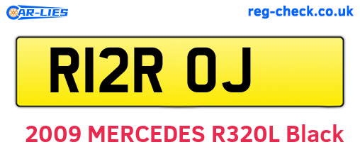 R12ROJ are the vehicle registration plates.