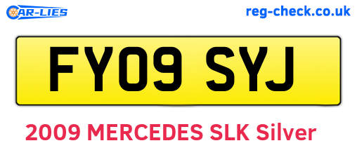 FY09SYJ are the vehicle registration plates.