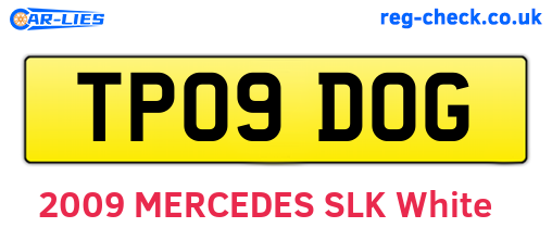 TP09DOG are the vehicle registration plates.
