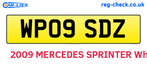 WP09SDZ are the vehicle registration plates.