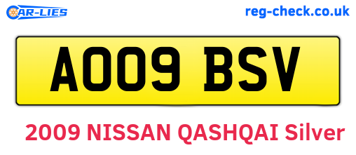 AO09BSV are the vehicle registration plates.