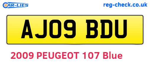 AJ09BDU are the vehicle registration plates.