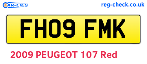 FH09FMK are the vehicle registration plates.