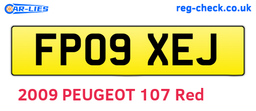 FP09XEJ are the vehicle registration plates.