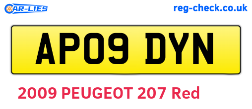 AP09DYN are the vehicle registration plates.