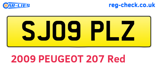 SJ09PLZ are the vehicle registration plates.