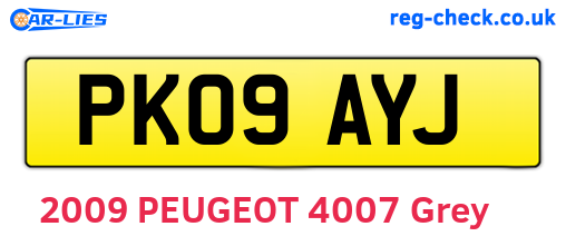 PK09AYJ are the vehicle registration plates.