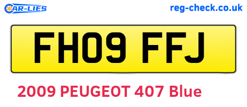 FH09FFJ are the vehicle registration plates.