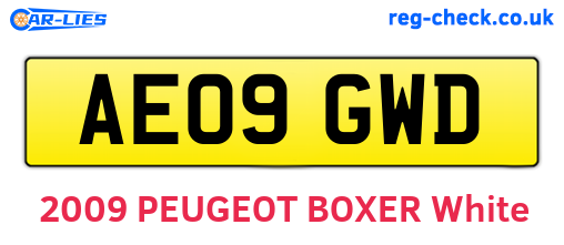AE09GWD are the vehicle registration plates.