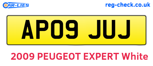 AP09JUJ are the vehicle registration plates.