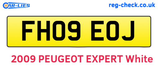 FH09EOJ are the vehicle registration plates.