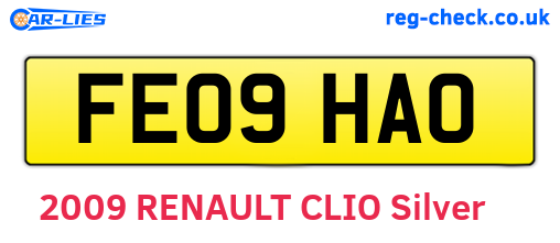 FE09HAO are the vehicle registration plates.