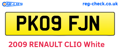 PK09FJN are the vehicle registration plates.