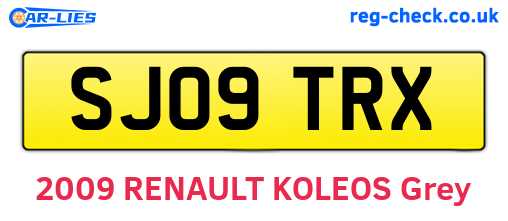 SJ09TRX are the vehicle registration plates.